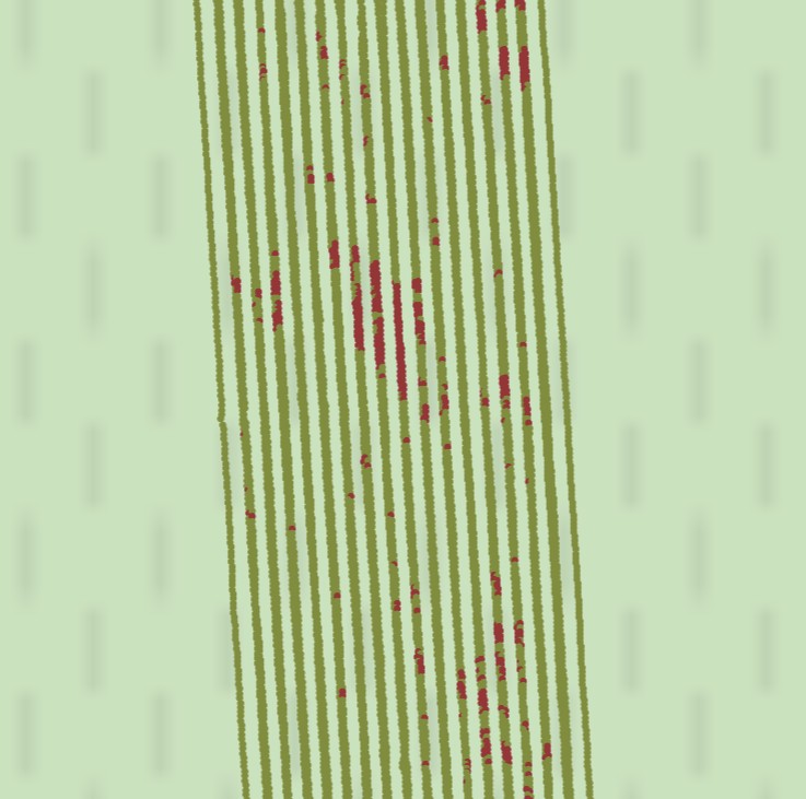 Orchard map of Leaf Roll Virus prevalance