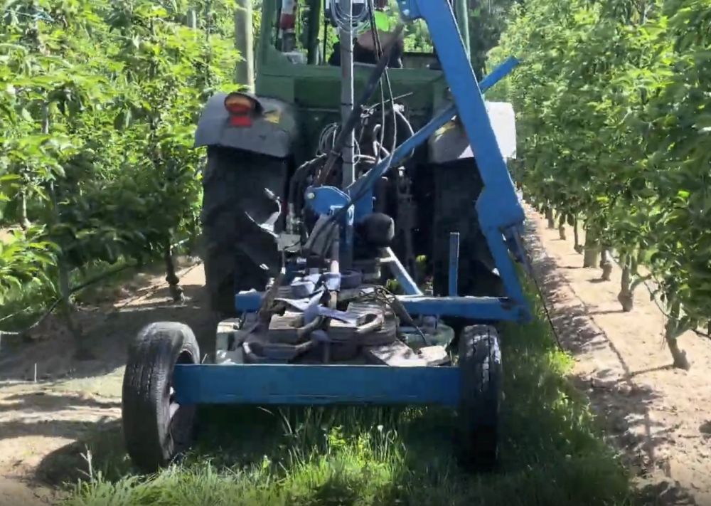 Tractor mounted variable rate root pruner