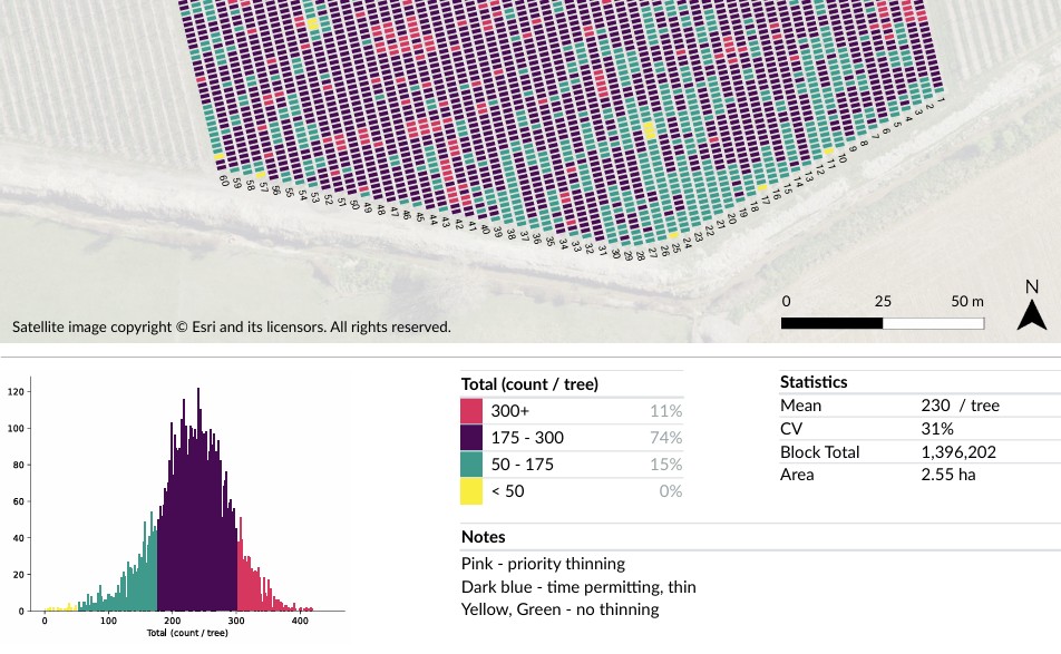 Orchard variability analysis and management