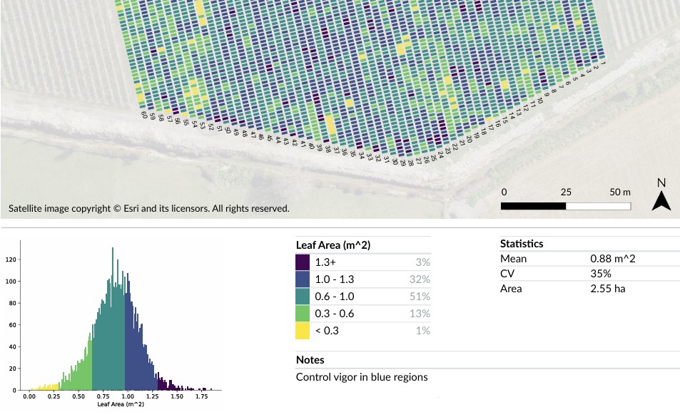 Tree canopy variability in an orchard