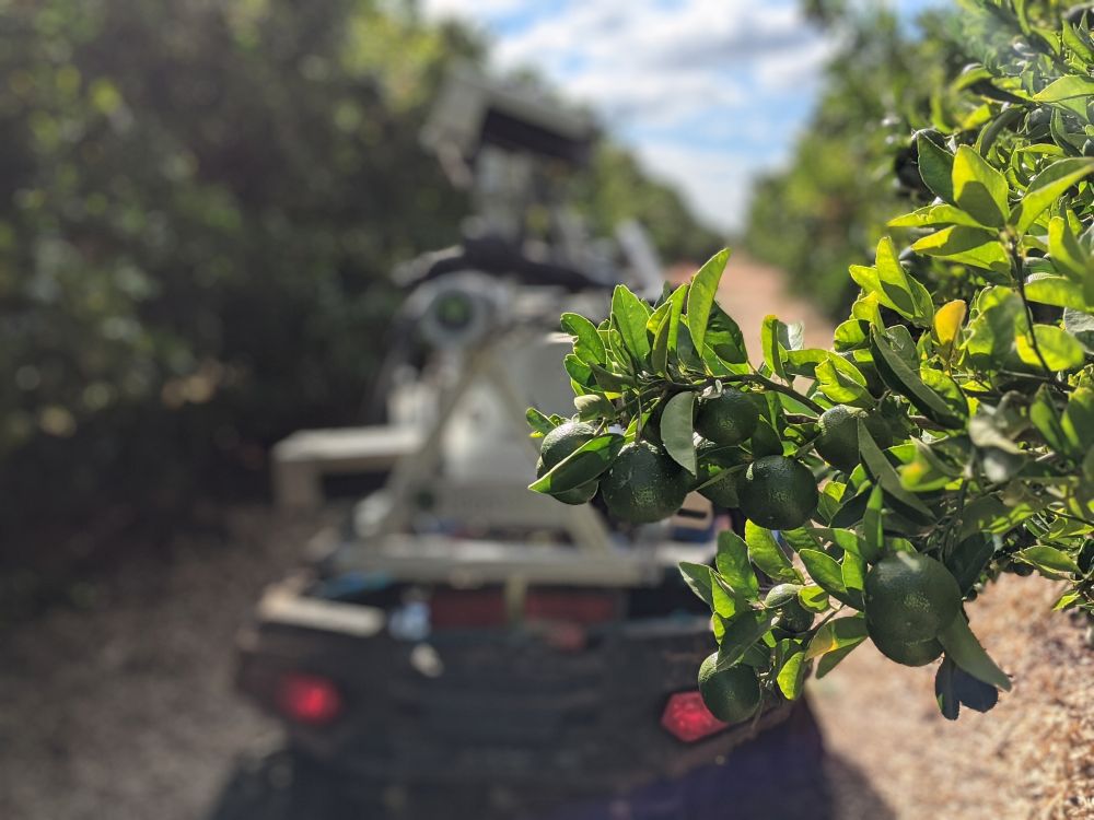 Cartographer scanning fruit in an orchard