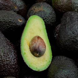 Avocados