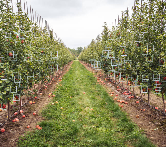 Green Atlas orchard scanning capabilities