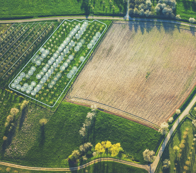 Know your orchard