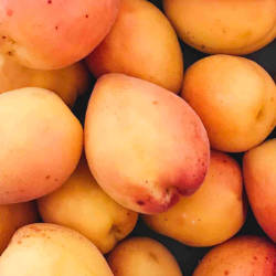 Mangos