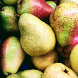 Pears