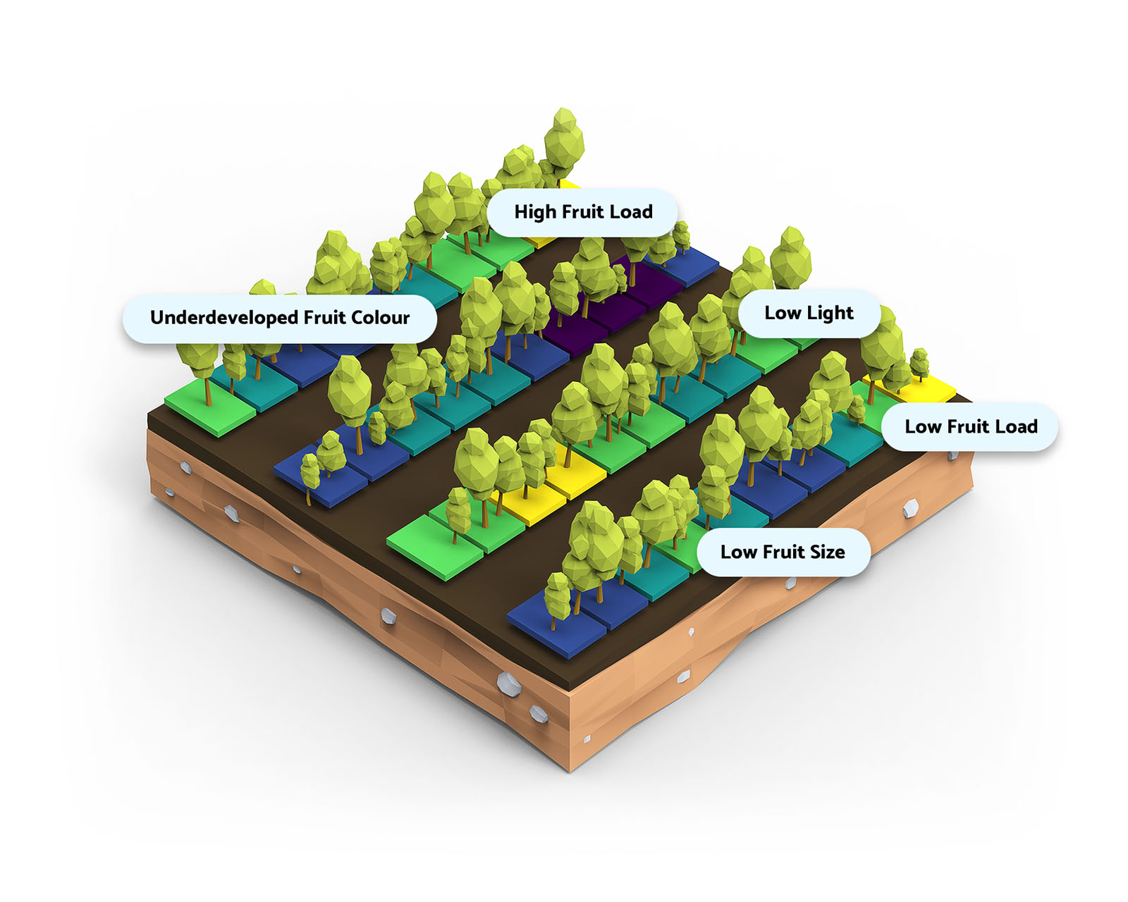 Cartographer Process - Take Action!