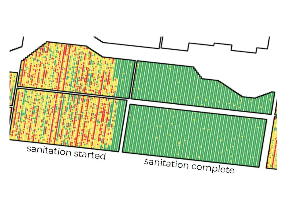 Map showing almond mummy nut removal mid-activity