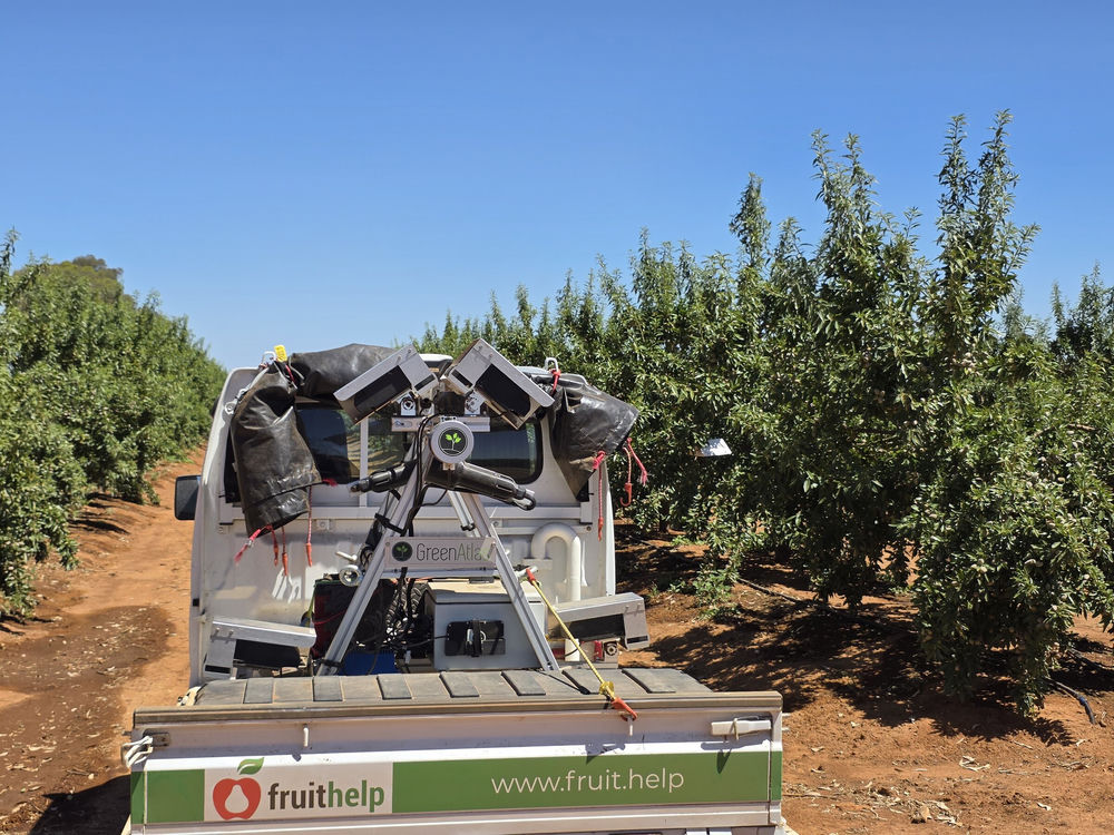 Green Atlas Cartographer in almond orchard