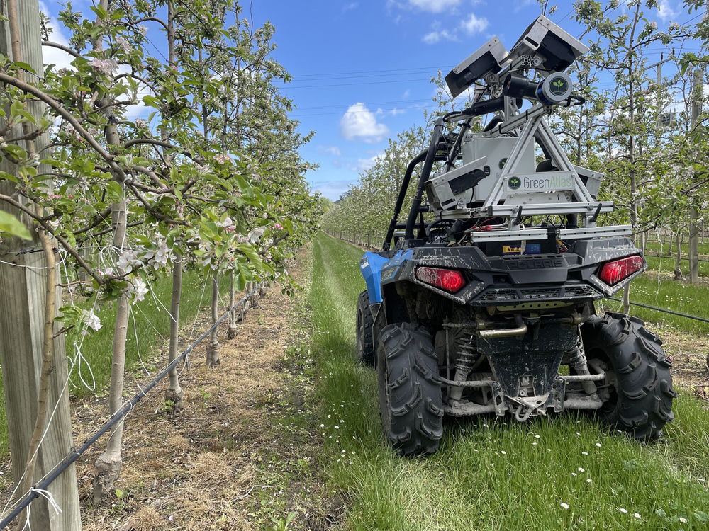 Green Atlas Cartographer in orchard