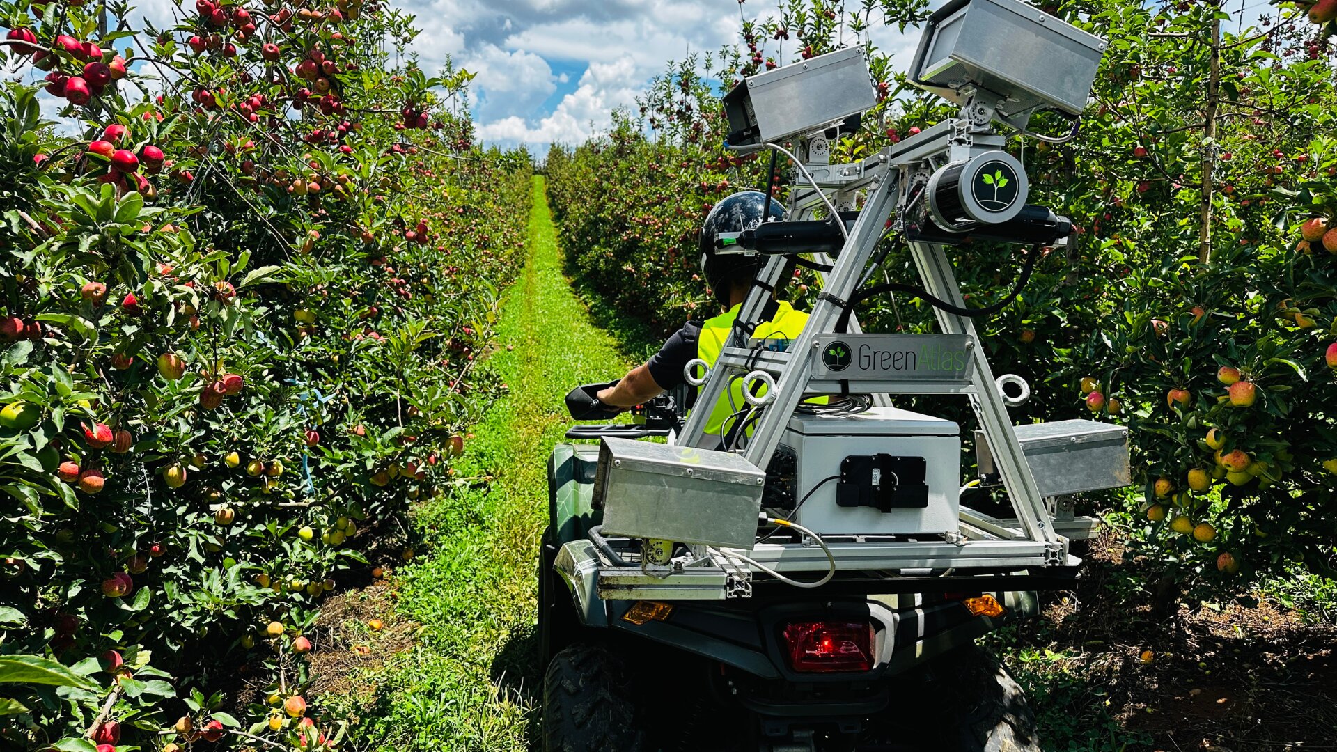 Green Atlas Cartographer in orchard